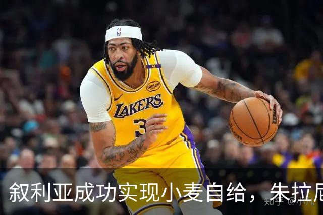 叙利亚成功实现小麦自给，朱拉尼展现非凡领导力